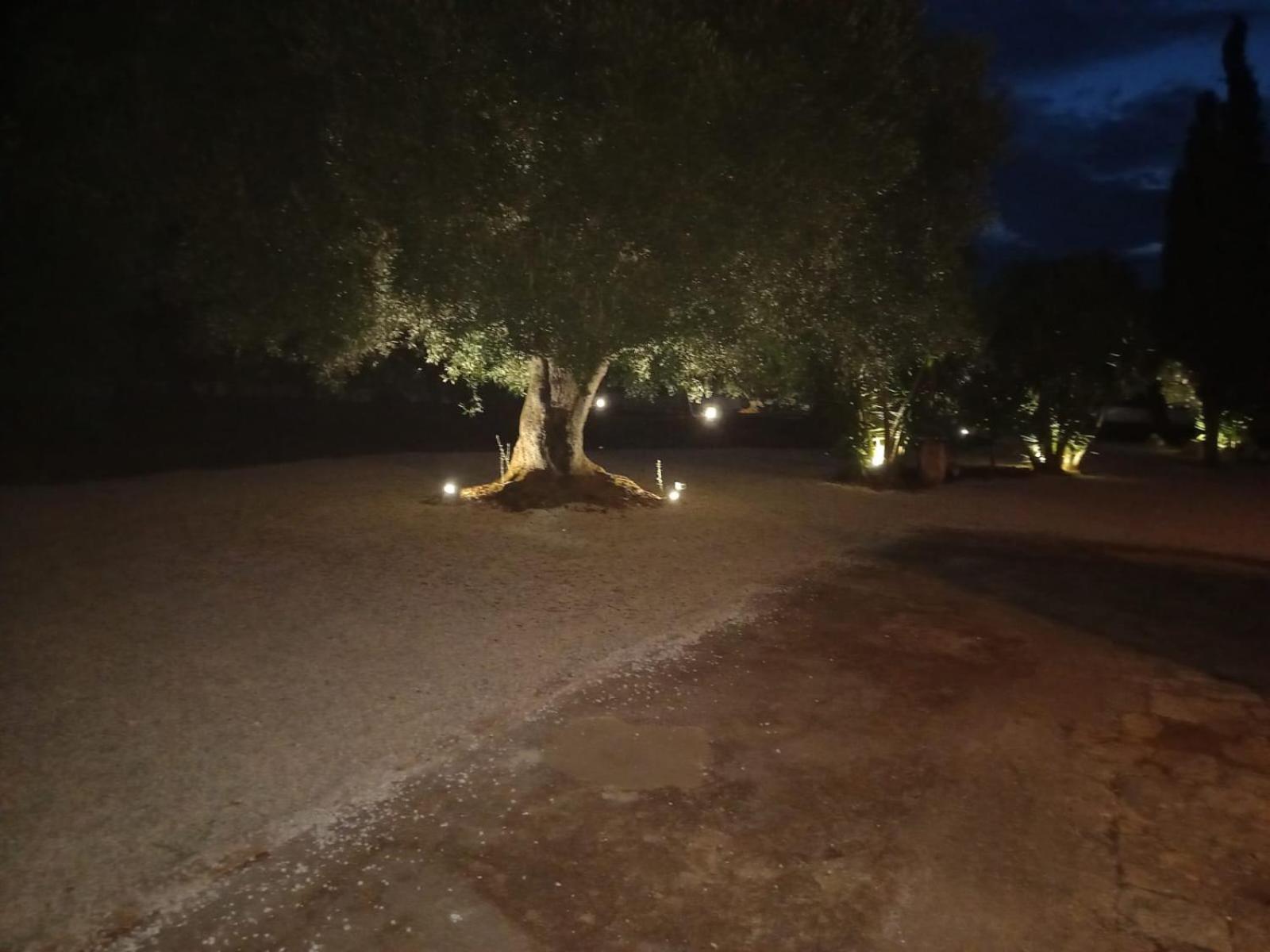 הוילה אוסטוני Casina Tra Gli Ulivi מראה חיצוני תמונה